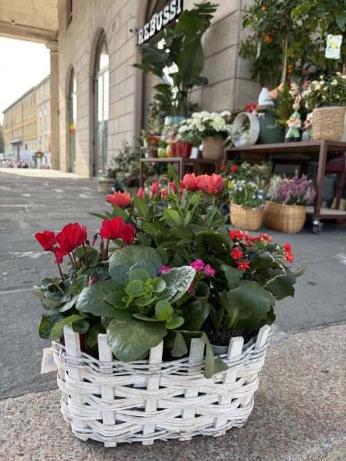 Colori d’autunno